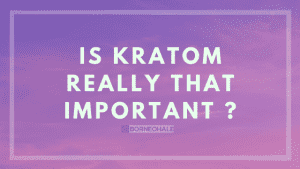 kratom risks and benefits