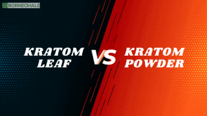 differences between kratom leaves and powder