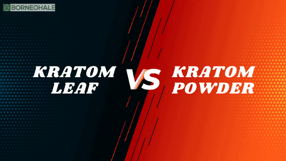 differences between kratom leaves and powder