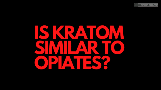 Kratom is not an opiate although it does have opioid receptors