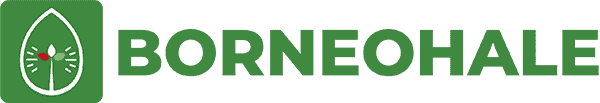 Borneohale