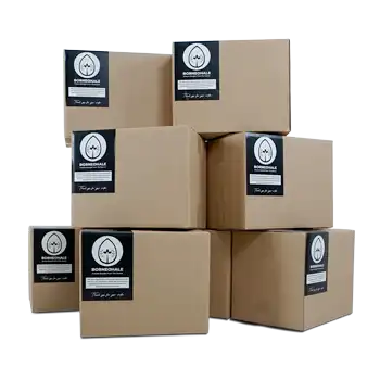 Box Packing Borneohale