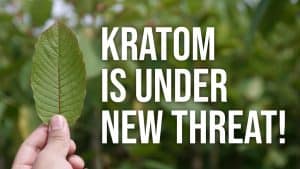 fda kratom ban
