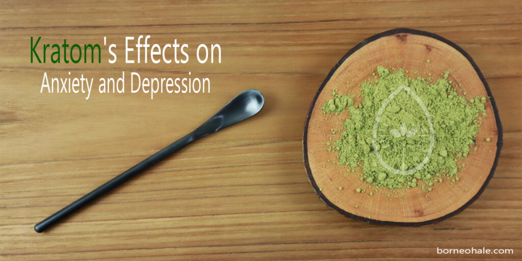 Kratom has Effects on Anxiety and Depression