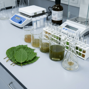 Green leaves with beakers and test tubes containing plant extracts in a lab